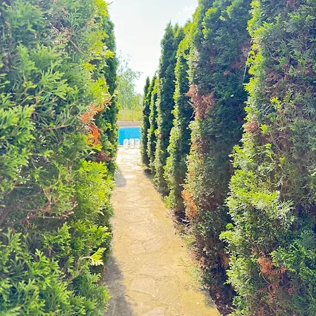 아파트 Mayana Appartament *