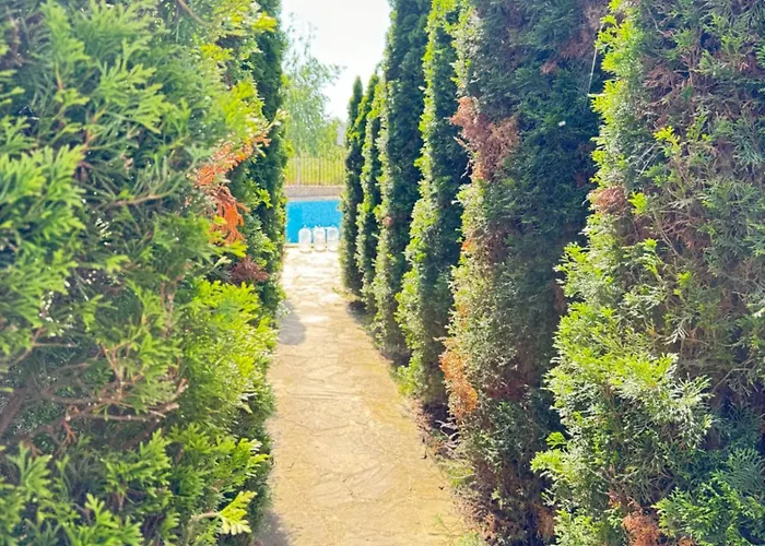 Apartment Mayana Appartament *